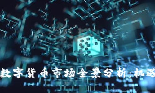 新西兰数字货币市场全景分析：机遇与挑战