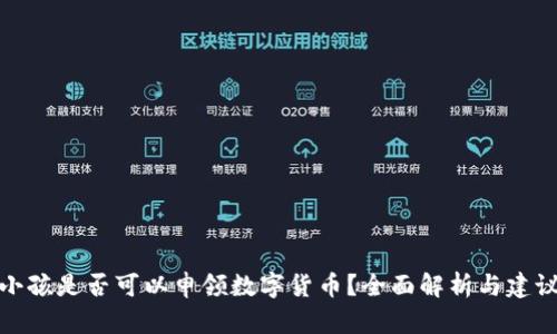 小孩是否可以申领数字货币？全面解析与建议