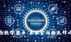 海南数字货币：未来金融的先锋之路