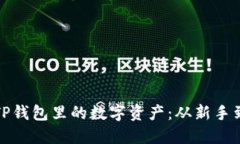 如何高效管理TP钱包里的数字资产：从新手到高手