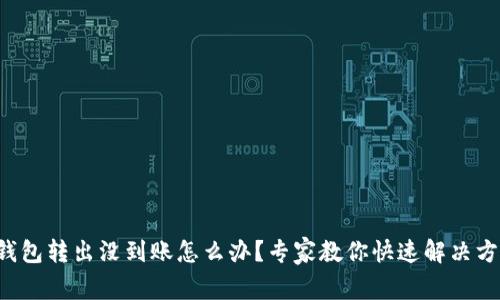 TP钱包转出没到账怎么办？专家教你快速解决方案！