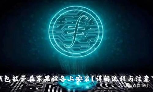 TP钱包能否在苹果设备上安装？详解流程与注意事项