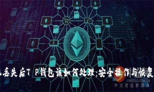 手机丢失后T P钱包该如何处理：安全操作与恢复指南