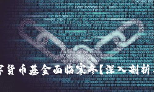 为什么数字货币基金面临寒冬？深入剖析与应对策略