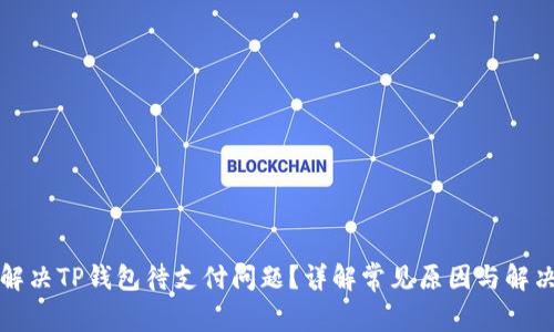 如何解决TP钱包待支付问题？详解常见原因与解决方案