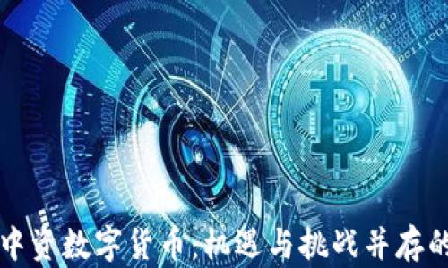 
全面解析中资数字货币：机遇与挑战并存的未来蓝图