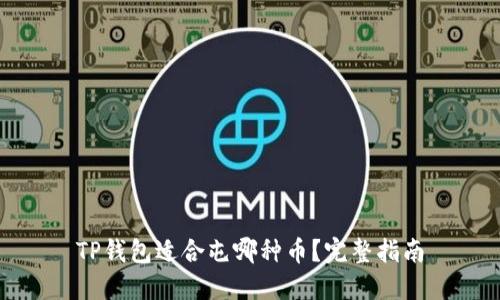 TP钱包适合屯哪种币？完整指南