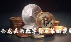 如何利用重仓龙头的数字货币策略获取长期收益