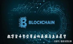 数字货币繁荣背后的原因与未来展望