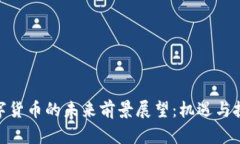金融数字货币的未来前景展望：机遇与挑战并存
