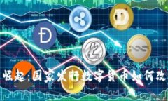 数字货币的崛起：国家发行数字货币如何改变金