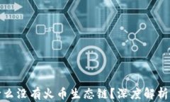 TP钱包为什么没有火币生态链？深度解析及解决方
