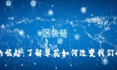 数字货币的崛起：了解翠花如何改变我们的日常