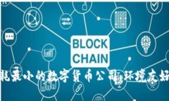 如何选择能耗最小的数字货币公司：环境友好的