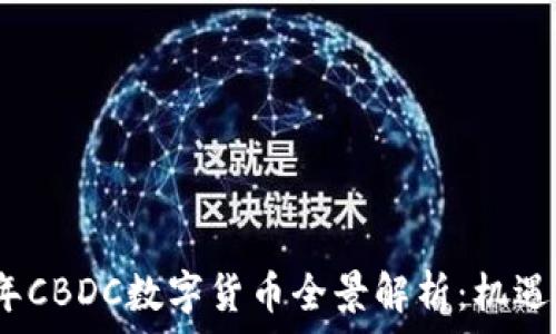   
2023年CBDC数字货币全景解析：机遇与挑战