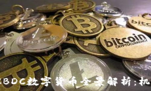   
2023年CBDC数字货币全景解析：机遇与挑战