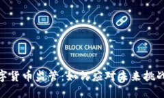 企业数字货币监管：如何应对未来挑战与机遇