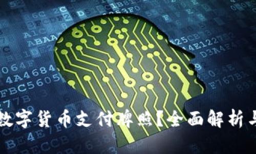 如何申请数字货币支付牌照？全面解析与实用指南