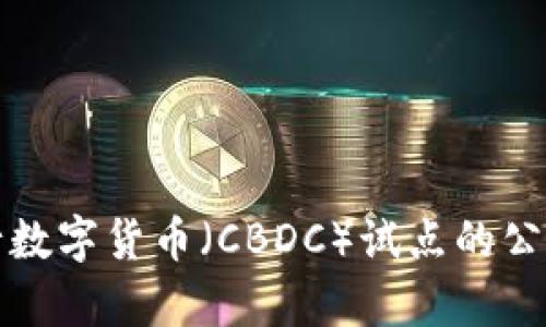 参与央行数字货币（CBDC）试点的公司全解析