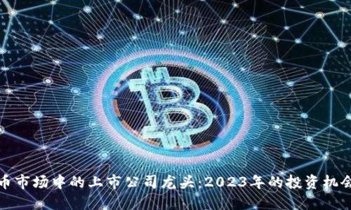 数字货币市场中的上市公司龙头：2023年的投资机会与挑战