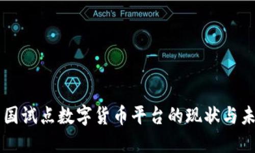 中国试点数字货币平台的现状与未来