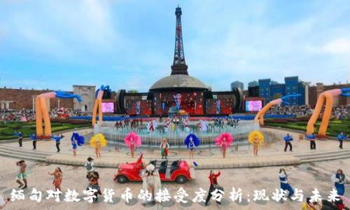   
缅甸对数字货币的接受度分析：现状与未来