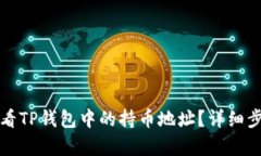 如何查看TP钱包中的持币地址？详细步骤解析