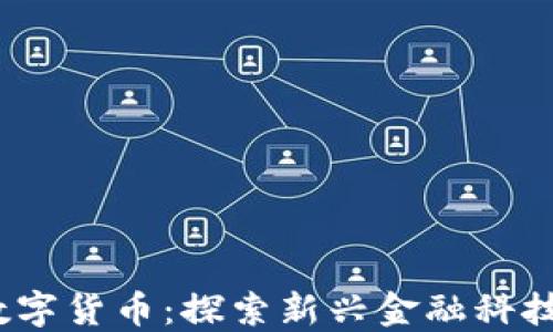 
2020年厦门数字货币：探索新兴金融科技的机遇与挑战