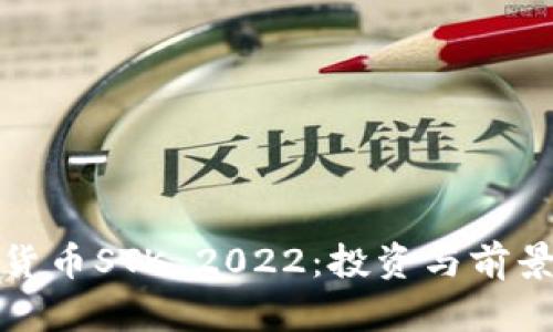 数字货币STK 2022：投资与前景分析