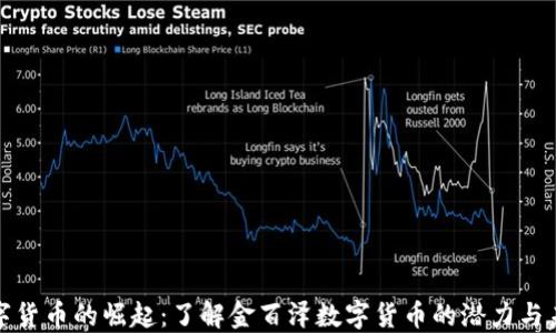 
数字货币的崛起：了解金百泽数字货币的潜力与未来