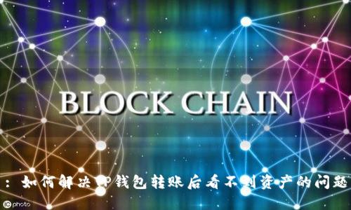 : 如何解决TP钱包转账后看不到资产的问题