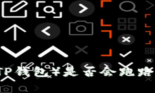  深度剖析：TP Wallet（TP钱包）是否会跑路？安全性分析与用户指南