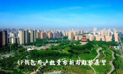 tP钱包用户数量分析与趋势展望