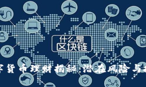 灰色数字货币理财揭秘：潜在风险与投资策略