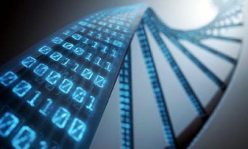 

如何解决TP钱包Gas不足的问题，提升你的加密交易体验