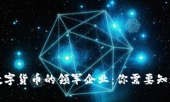  中国数字货币的领军企业：你需要知道哪些？
