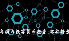 2023年国内数字货币投资：你能挣多少钱？